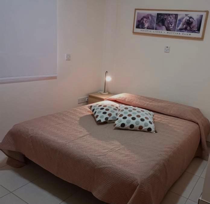 Protaras Ionian Breeze House 10 Minutes Walk From The Beach พาราลิมนี ภายนอก รูปภาพ